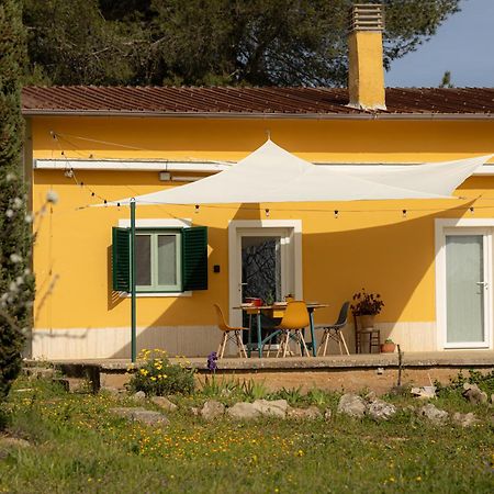 Casina Al Castello - Natura E Relax Castel Del Monte  Bagian luar foto