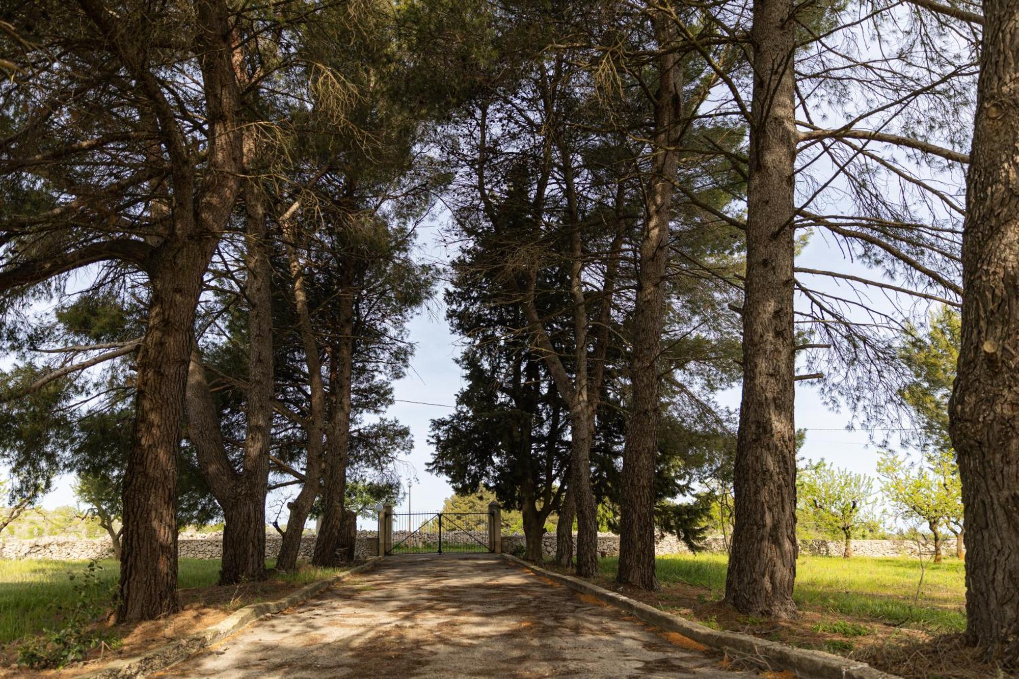 Casina Al Castello - Natura E Relax Castel Del Monte  Bagian luar foto