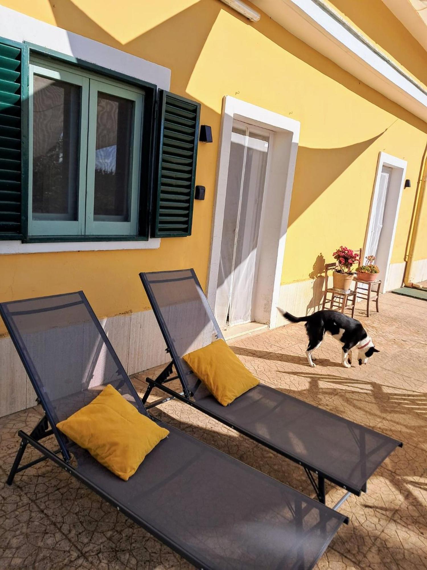 Casina Al Castello - Natura E Relax Castel Del Monte  Bagian luar foto